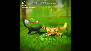 WildCraft TikTok Compilation  Cheetah edit wzRockyYTxTT wildcraft edit tiktok compilation [upl. by Galligan]