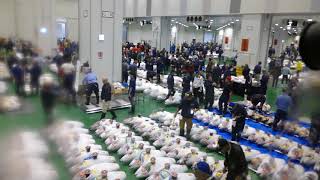 Scene from Toyosu fish market’s tuna auction on opening day RAW VIDEO [upl. by Lienad]