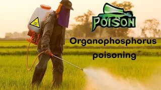 Organophosphorus poisoning  Atropine  Oximes [upl. by Sremmus714]