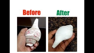 How to clean a Shankh Conch Shell for pooja at home [upl. by Theron]