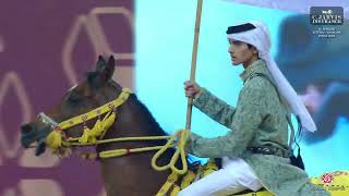 Al Shaqab International AH Show 2024 Extra [upl. by Merissa87]