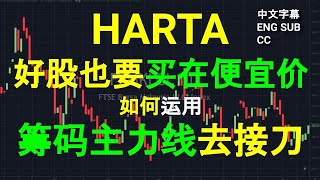 HARTA HARTALEGA  好股也要买在便宜价 聊聊如何运用筹码主力线去接刀盘后技术分析CC 中英文字幕 ENG SUB23122023 [upl. by Auof]