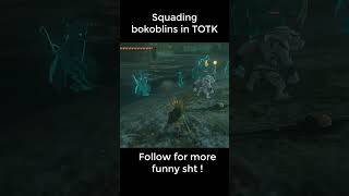 TOTK Squading Bokoblins tearsofthekingdom totk thelegendofzeldatearsofthekingdom [upl. by Juni]