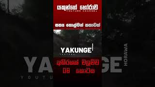 අභිරහස් වලව්ව 08 කොටස  sinhala holman katha sinhalaholmankatha horrortok viral foryou [upl. by Tennos]