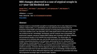 MRI changes observed in a case of atypical scrapie in a 7yearold Herdwick ewe [upl. by Nihs987]