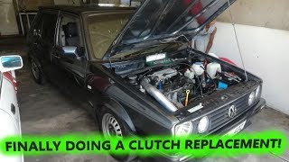 Replacing Lolas Clutch [upl. by Aritak547]