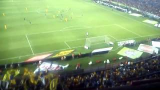 Libres Y Lokos  El Ser De Tigres [upl. by Clements]