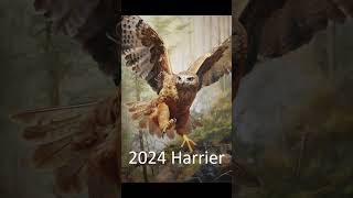 2024 harrier and 5000bce harrier animals trending [upl. by Steffy]