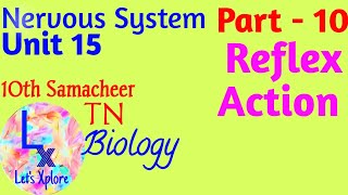 10 std Bio Unit 15 Nervous system Reflex action Part 10 Samacheer Kalvi TN [upl. by Dituri524]