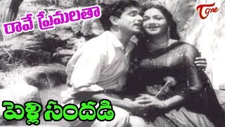 Pelli Sandadi Songs  Raave Naa Premalatha  ANR  Anjali Devi  OldSongsTelugu [upl. by Eachelle]