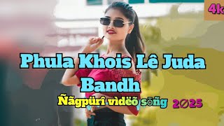 Phula Khois Lê Juda Bandh Nagpuri video song DJ remix Hip 2025 [upl. by Rollo]