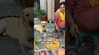 Simba bhi Khayega Aloo Paratha😍❤️ vlog doglover pets minivlog ytshorts dogshorts [upl. by Kavanagh]