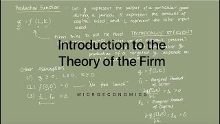 Introduction to the Theory of the Firm [upl. by Noffets]