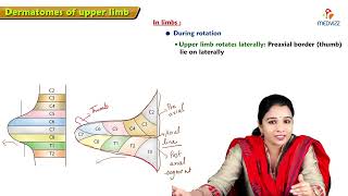 17 Dermatomes of Upper Limb Anatomy  MBBS Lecture [upl. by Natanoj151]