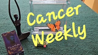 Cancer Weekly Tarot Reading September 16 2024 [upl. by Ramin545]