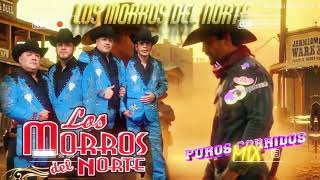 🌟Los Morros del Norte Corridos Mix Para Pistear🌟 [upl. by Carlie]