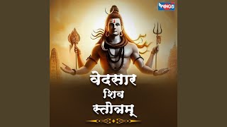 Vedsaar Shiv Stotram [upl. by Avehs]