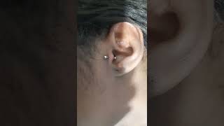 Piercing tragus bronx [upl. by Eiclek]