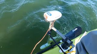 Watersnake trolling motor amp draw tests  side mounted on kayak [upl. by Trebloc]