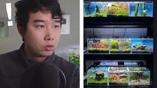 the CRAZIEST pet store Betta Section  Fish Tank Review 238 [upl. by Scharff]