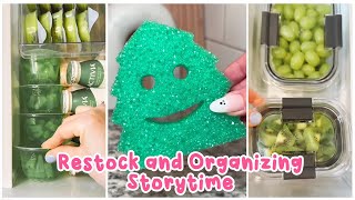 🌺 1 Hour Satisfying Restock And Organizing Tiktok Storytime Compilation Part 67  Lisa Storytime [upl. by Airdnaxela]