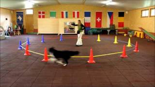 Demo  Longierzirkeltraining mit Hund  von Anja Jakob wwwclickntrickde und wwwanjajakobcom [upl. by Bright156]