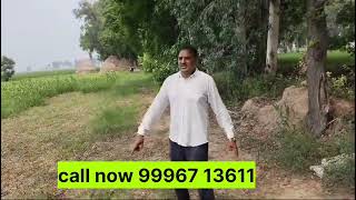 agriculture land for sale in haryana 12 एकड़ खेती की जमीन बिकाऊ हरियाणा में karnalproperty [upl. by Etnom]