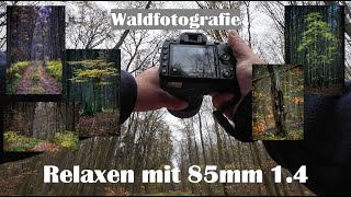 Waldfotografie  POV  Relaxen mit 85mm 14 manuell [upl. by Boleslaw]