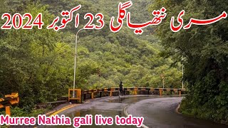 murree live today  nathia gali today  mall road murree today  murree snowfall update 2024 [upl. by Barcroft]