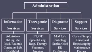 Hospital Organizational Structure [upl. by Laverne]