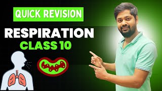 RESPIRATION CLASS 10  QUICK REVISION [upl. by Yeldnarb869]