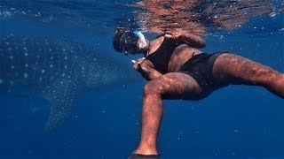 Why diving in Tofo Mozambique is the best in the world [upl. by Riamo609]