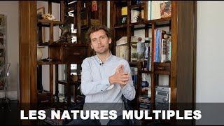 Samuel Gerrand  Les natures et intelligences multiples  Lécole de la vie [upl. by Aropizt]