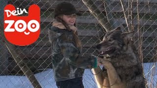 Mutter und Tochter adoptieren Wolf [upl. by Enelram]