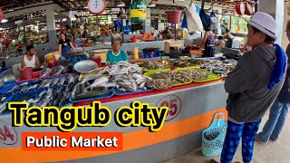 Tangub city  Misamis Occidental  Walking tour accessed through Panguil bay bridge [upl. by Hnirt]