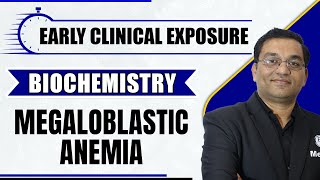 Megaloblastic Anemia  Early Clinical Exposure  Biochemistry  MBBS  Dr Rajesh [upl. by Helve]