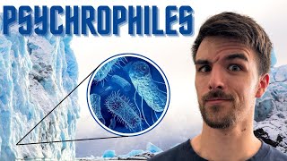 What’s Up With Psychrophiles Cold Extremophiles [upl. by Carmen]