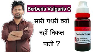 Berberis vulgaris medicine use  7 दिनों में पथरी पेशाब के रास्ते निकाले  Renal stones  kidney [upl. by Nojid76]