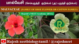 Malvaceae  Newly Added Plant families Rajesh NEET Academy RNA rajeshneet RNBT [upl. by Groos829]