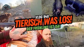 FarmVLOG948  Es geht raus der Frühling kommt [upl. by Smoot905]