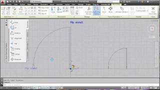 AutoCAD Dynamic Block Flip and Visibility [upl. by Harvard]