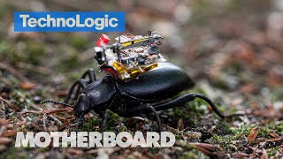 Robot Insects are Coming But Can We Trust Them  TechnoLogic [upl. by Batista]