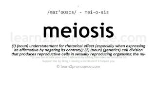 Pronunciation of Meiosis  Definition of Meiosis [upl. by Antoinette]