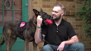 Reuniting Military Working Dog Dasty with Former Army Handler Michael After Years Apart [upl. by Nnylyahs]