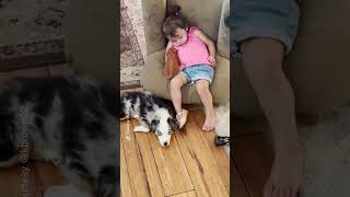 Pet pig and dog join napping toddler for a cozy cuddle  Humankind shorts goodnews [upl. by Eetsim946]