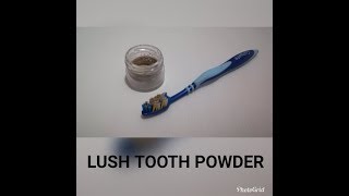 RETETAAdio carii și tartruFacem pudra de dinti LUSHTooth powder recipe [upl. by Akeret274]