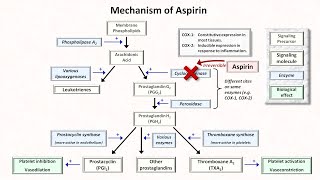 Hemostasis Lesson 5  Antiplatelet Meds Part 1 of 2 [upl. by Easton]