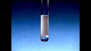 Barium Chloride and Sodium Sulfate [upl. by Adnilev]