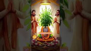 Tulsi ekadashi Puja cutebaby lagelujaharkhesarilalyadav [upl. by Leake]