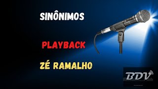 Sinônimos  Zé Ramalho  Karaokê  Instrumental [upl. by Yzzik]